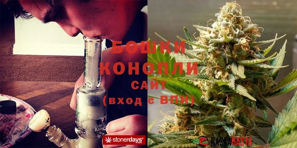 не бодяженный Белокуриха