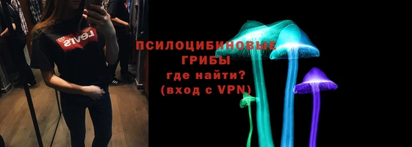 герыч Дмитриев