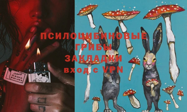 не бодяженный Белокуриха