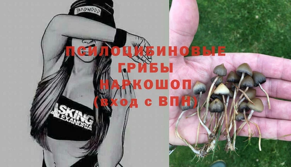 не бодяженный Белокуриха